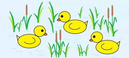 Рисование на компьютере для начинающих