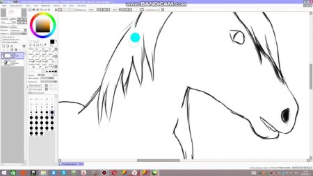 Рисование в Paint Tool Sai