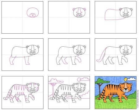 Тигр пошаговое рисование для детей