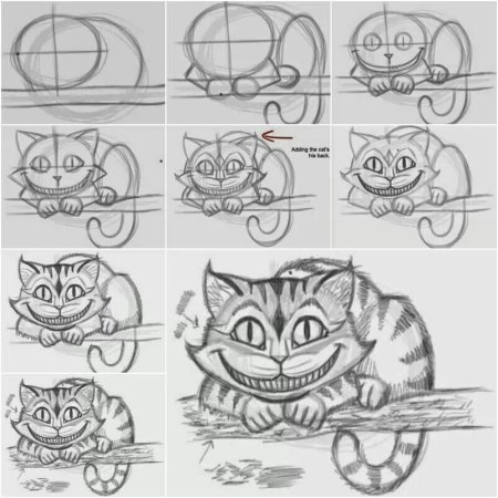 Кот из Алисы в стране чудес рисунок