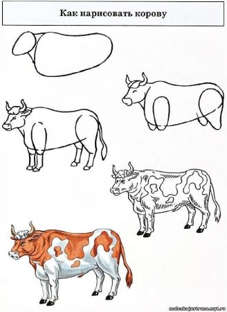 Корова для рисования