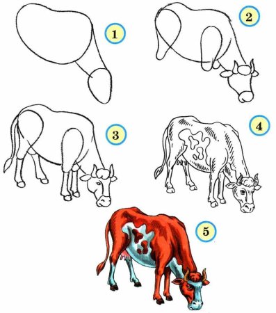 Как нарисовать корову