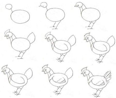 Поэтапное рисование курицы для детей