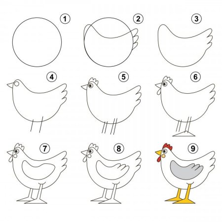 Поэтапный рисунок курицы