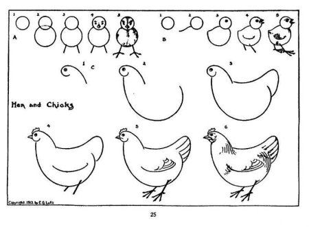 Как нарисовать курицу поэтапно
