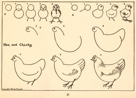 Курица рисунок карандашом