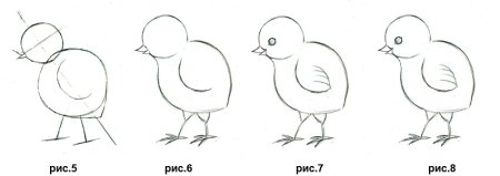 Поэтапное рисование петуха