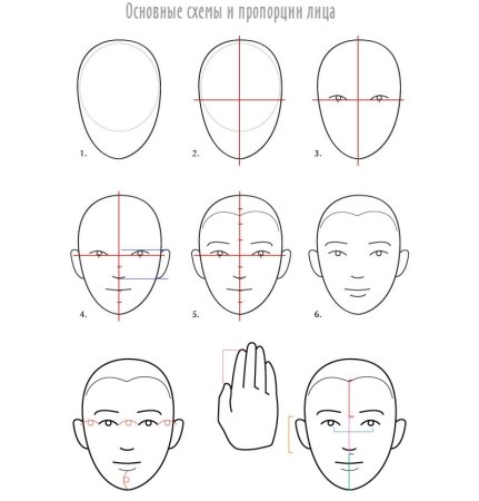 Тело человека для рисования
