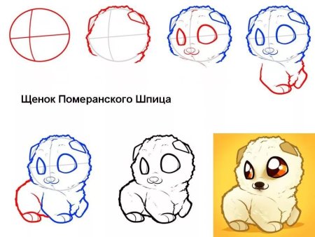 Простые пошаговые рисунки