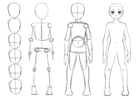 Пропорции тела человека для рисования для начинающих