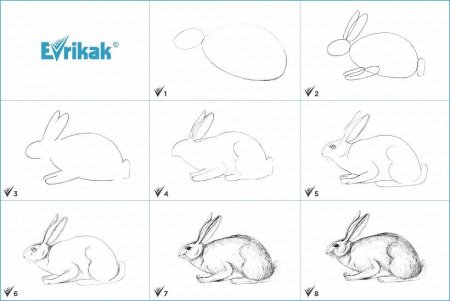 Пошаговое рисование зайца