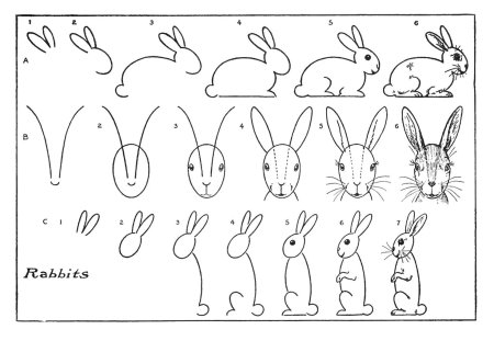 Пошаговое рисование зайца