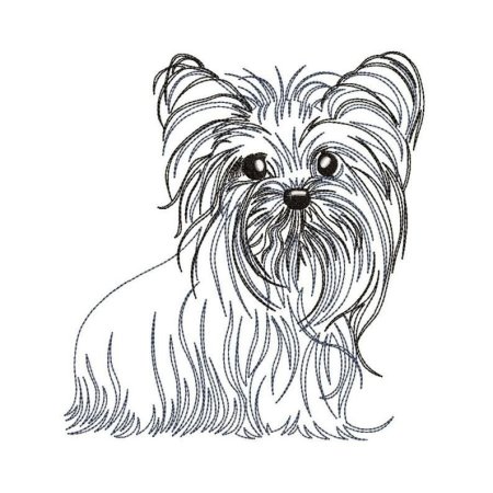 Рисунок йоркширского терьера легкий