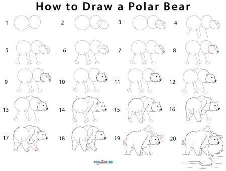 Поэтапное рисование медведя