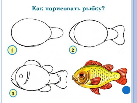 Поэтапное рисование рыбы для детей