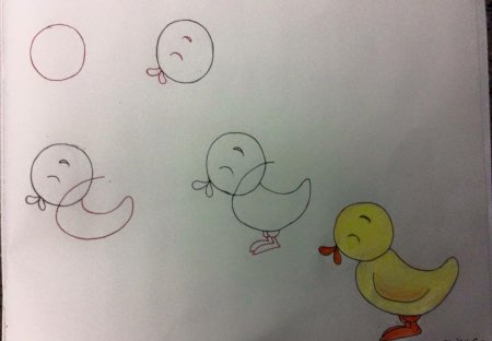 Рисование с нуля