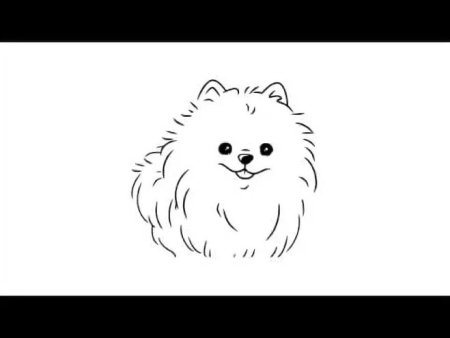 Щенок поэтапно карандашом