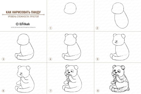 Как рисовать панду поэтапно