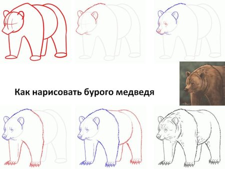 Как рисовать медведя