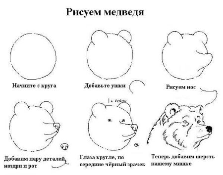 Поэтапное рисование ме