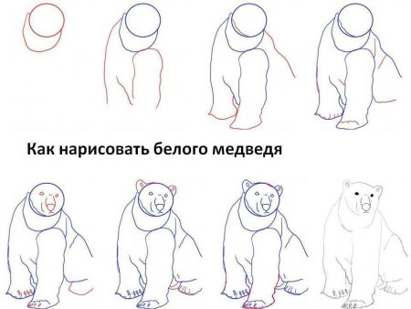 Поэтапное рисование мишки