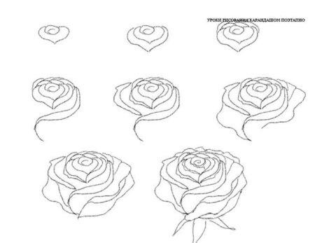 Рисунки по этапно для начинающих