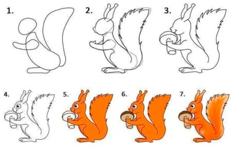 Белка сбоку рисунок