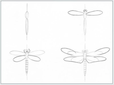 Поэтапное рисование Стрекозы