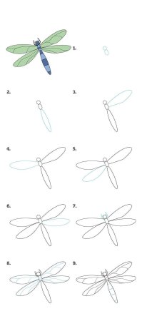 Поэтапное рисование Стрекозы