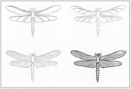 Стрекоза пошагово