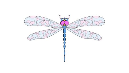 Поэтапное рисование Стрекозы