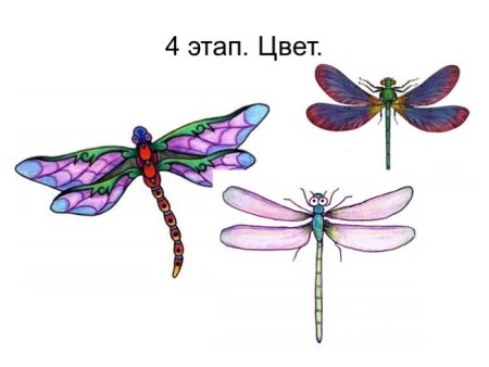 Рисование симметричных форм насекомые