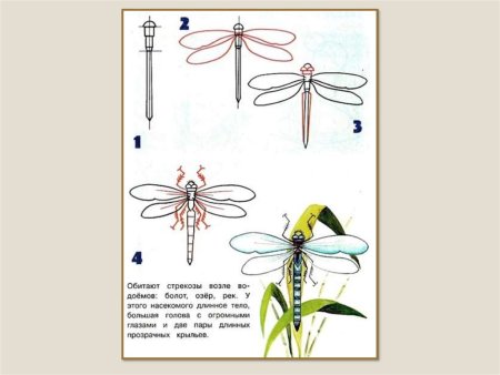 Схемы для рисования для детей 3-4 лет