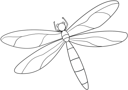 Схема рисования бабочки