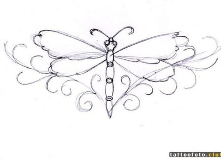 Поэтапное рисование Стрекозы для детей 4-5 лет