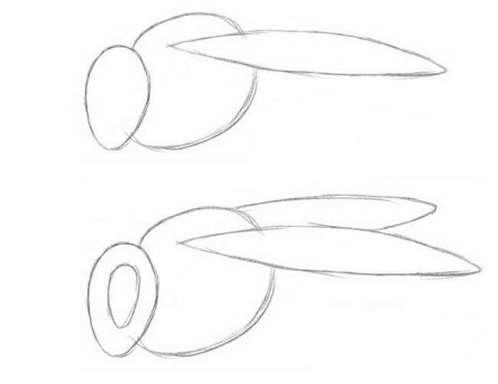 Шмель поэтапное рисование