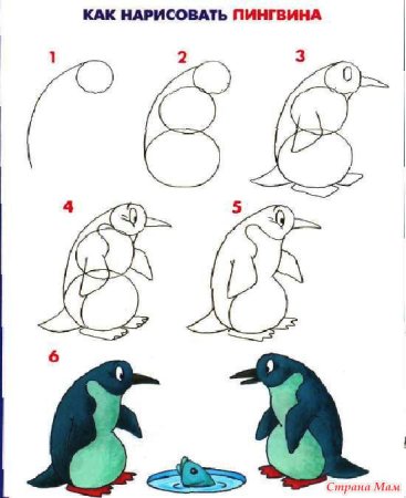 Пингвин пошаговое рисование