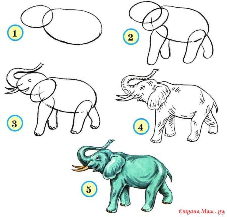 Пошаговые рисунки