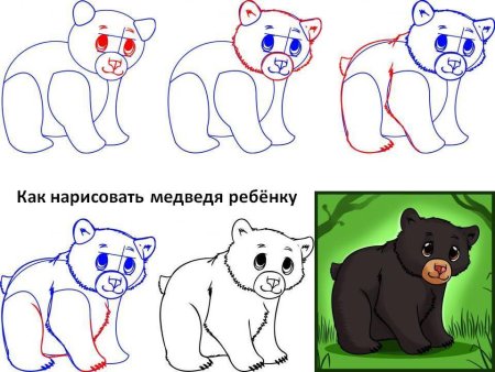 Поэтапное рисование медведя