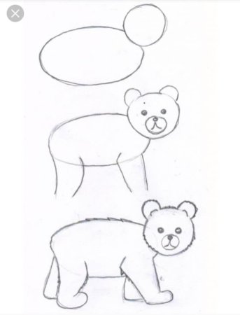 Медведь рисунок карандашом поэтапно