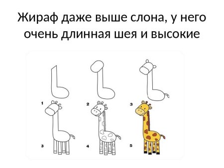 Пошаговое рисование жирафа для детей
