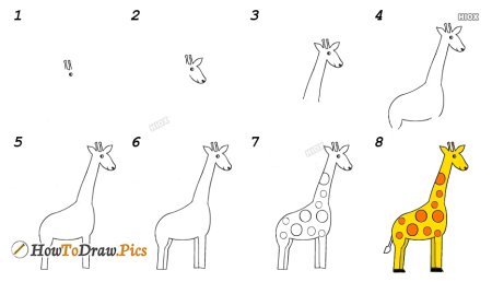 Этапы рисования жирафа