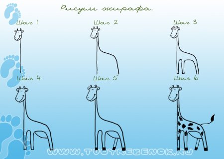 Пошаговый рисунок жирафа