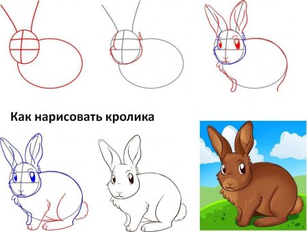 Рисование зайца поэтапно для детей