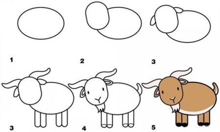 Поэтапное рисование для детей 4-5 лет