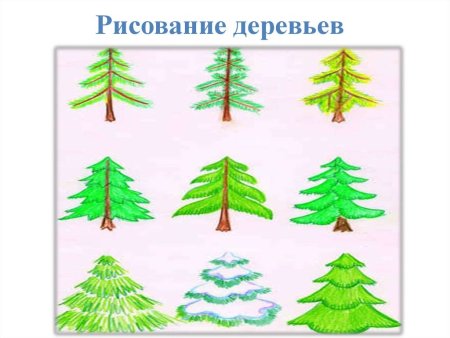 Поэтапное рисование дерева