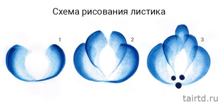 Последовательность росписи гжельской розы