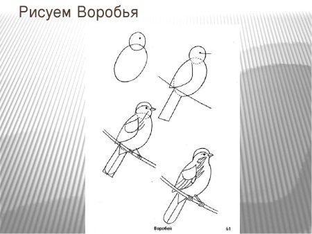 Рисование воробья