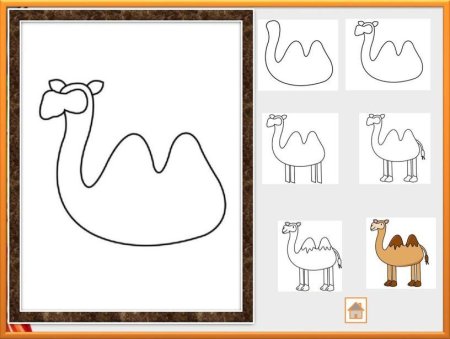 Нарисовать верблюда поэтапно