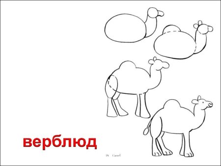 Схематические рисунки животных